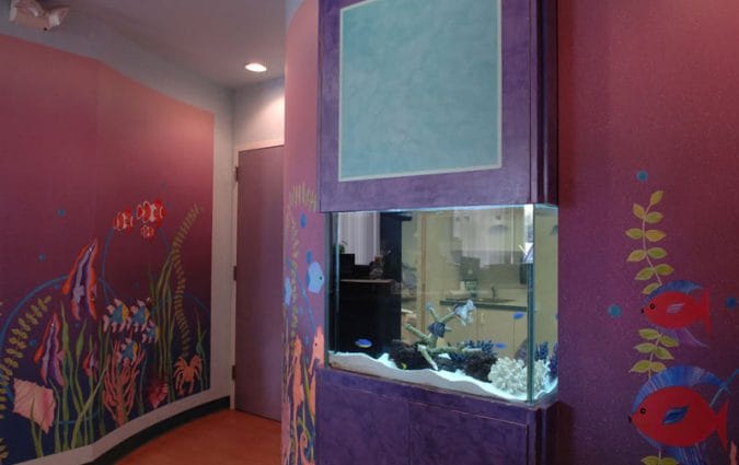 Woodbury Pediatric Dentistry Orthodontics Office Picture - Fish Tank